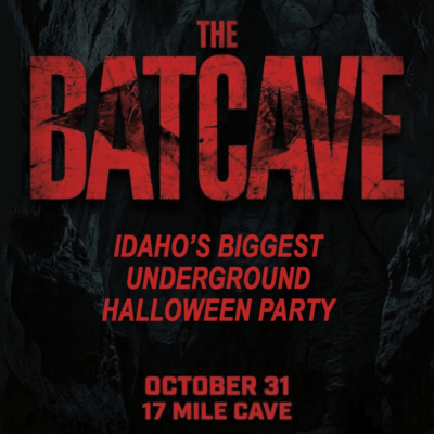 The BATCAVE